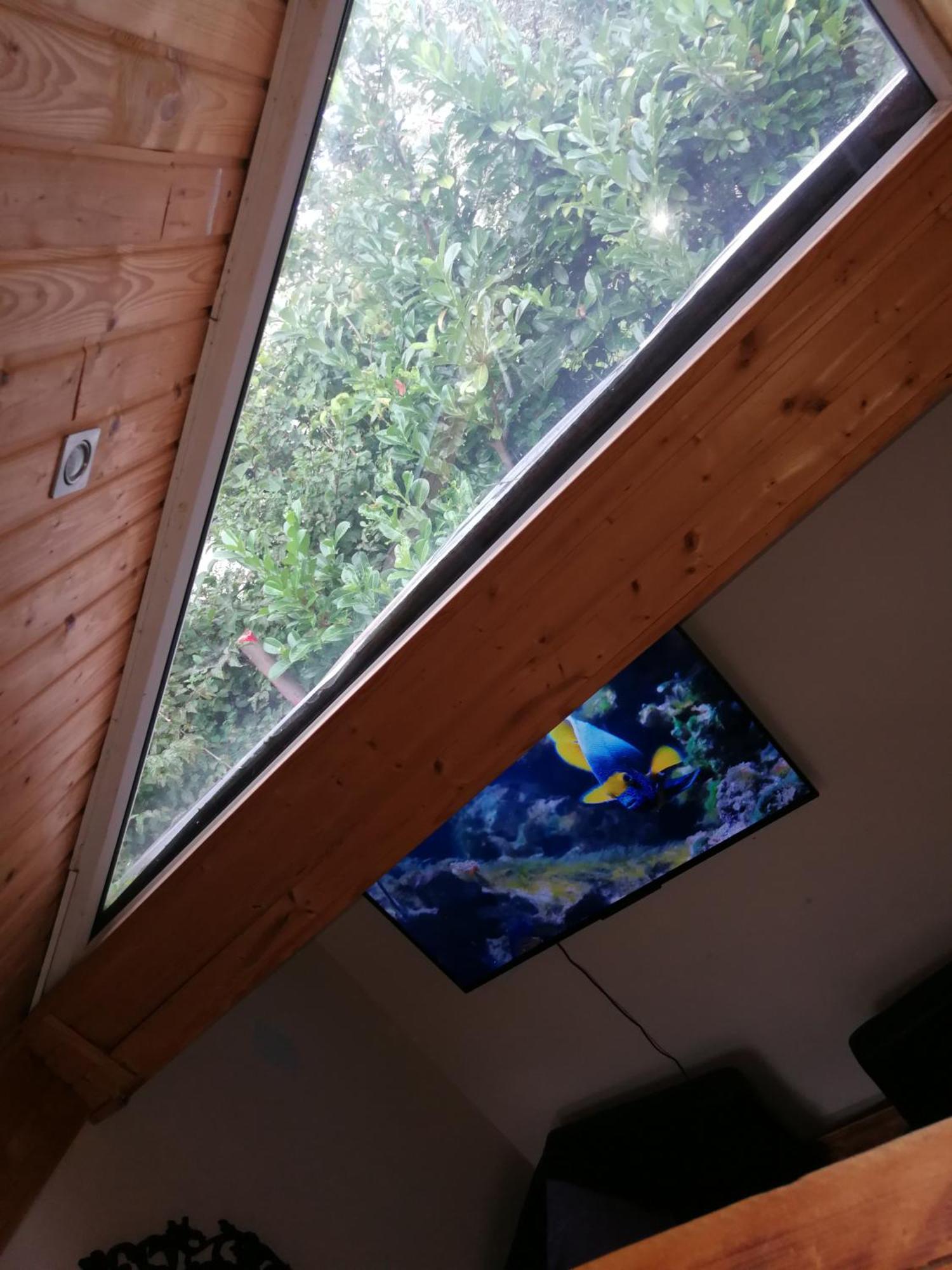 Wohlfuehloase - Zimmer, Appartment - Im Herzen Starnbergs Rom bilde